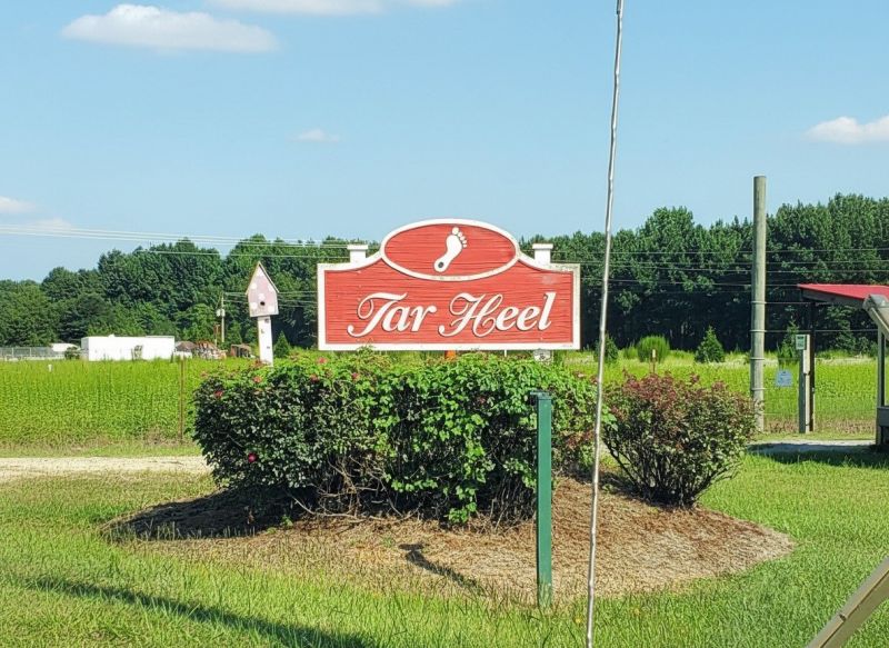 Best Siding Replacement pros in Advance, NC