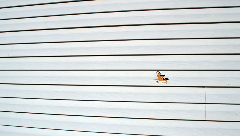 Siding Repair in Action